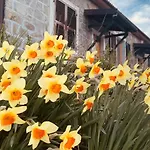 Vakantiehuis Colle Del Faggio Immersion House *