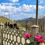 Colle Del Faggio Immersion House Cassego-Villa