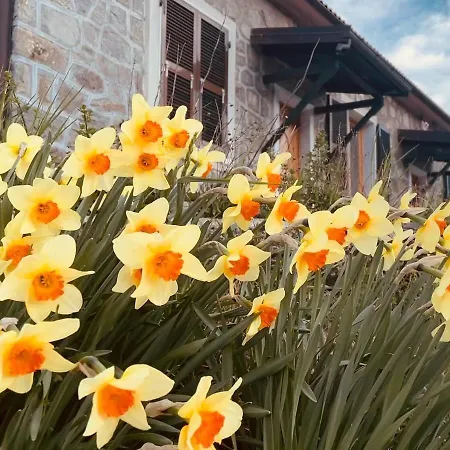 Casa de Férias Colle Del Faggio Immersion House *
