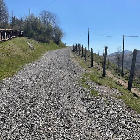Colle Del Faggio Immersion House